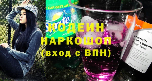 мет Алексин