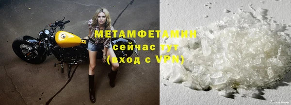 шишки Пересвет